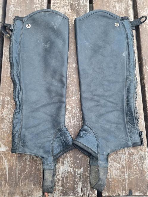 Ariat concord chaps, Dieren en Toebehoren, Paardrijkleding, Gebruikt, Schoeisel, Ophalen
