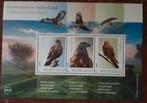 Roofvogels in Nederland. Postzegelvel., Ophalen of Verzenden, Postfris