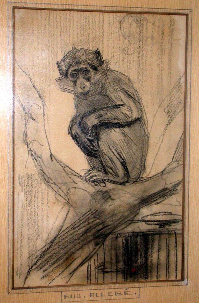 August Allebé, Aapje in Artis, Antiek en Kunst, Kunst | Tekeningen en Foto's, Ophalen