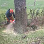Bomen en Boswallen gezocht., Diensten en Vakmensen