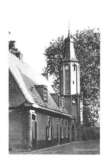 981657	Harderwijk	Gld 1959 Linnaeustoren	 	Gelopen met zegel beschikbaar voor biedingen