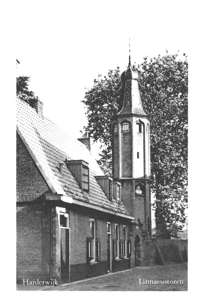 981657	Harderwijk	Gld 1959 Linnaeustoren	 	Gelopen met zegel, Verzamelen, Ansichtkaarten | Nederland, Gelopen, Gelderland, 1940 tot 1960