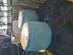 Hooibalen, Dieren en Toebehoren, Dierenvoeding, Ophalen of Verzenden