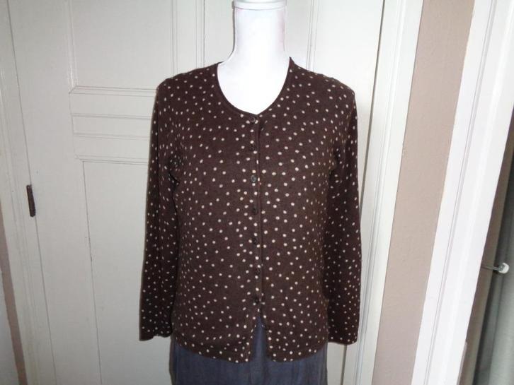 BLOOMINGS stippelvestje:mt 38, Kleding | Dames, Truien en Vesten, Zo goed als nieuw, Maat 38/40 (M), Bruin, Ophalen of Verzenden
