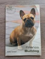 Franse bulldog, Boeken, Dieren en Huisdieren, Honden, Ophalen of Verzenden, Zo goed als nieuw