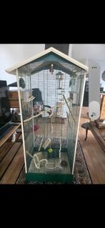 vogelkooi, Dieren en Toebehoren, Geslacht onbekend, Parkiet