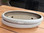 Bonsaischalen gebruikt 2 voor 15,00, Prebonsaiachterhoek, Gebruikt, Minder dan 30 cm, Minder dan 60 cm