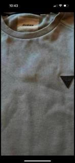Sweater GUESS ( grijs/groen) maat L, Ophalen of Verzenden