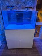 Aqua Medic Armatus 375XD White, Ophalen, Zo goed als nieuw, Gevuld zeewateraquarium