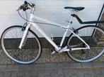 Specialized race fiets dames, Ophalen, 28 inch, Gebruikt, 49 tot 53 cm