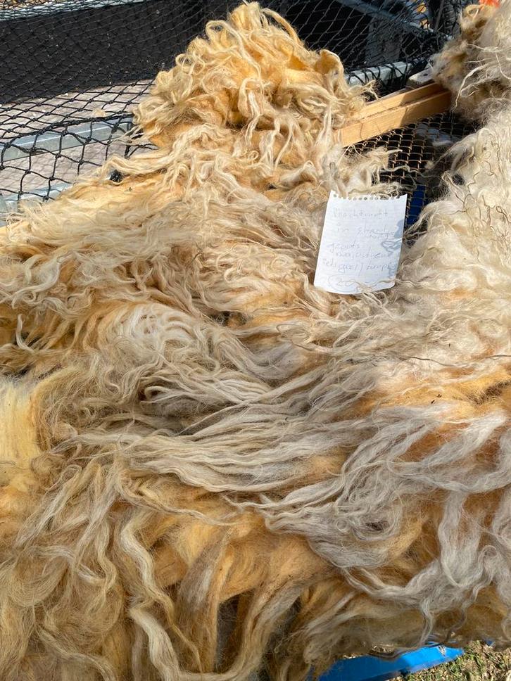 Racka vacht in shawlvorm om te vilten, Hobby en Vrije tijd, Cursusmateriaal, Zo goed als nieuw, Meerdere media, Ophalen of Verzenden