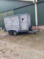 Gevraagd (aluminium) veetrailers, Dieren en Toebehoren, Ophalen of Verzenden