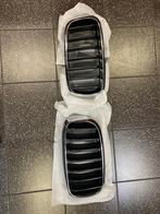 Nieren BMW X5 2018 7316079, Auto-onderdelen, Carrosserie en Plaatwerk, Nieuw, Ophalen of Verzenden, Bumper, BMW