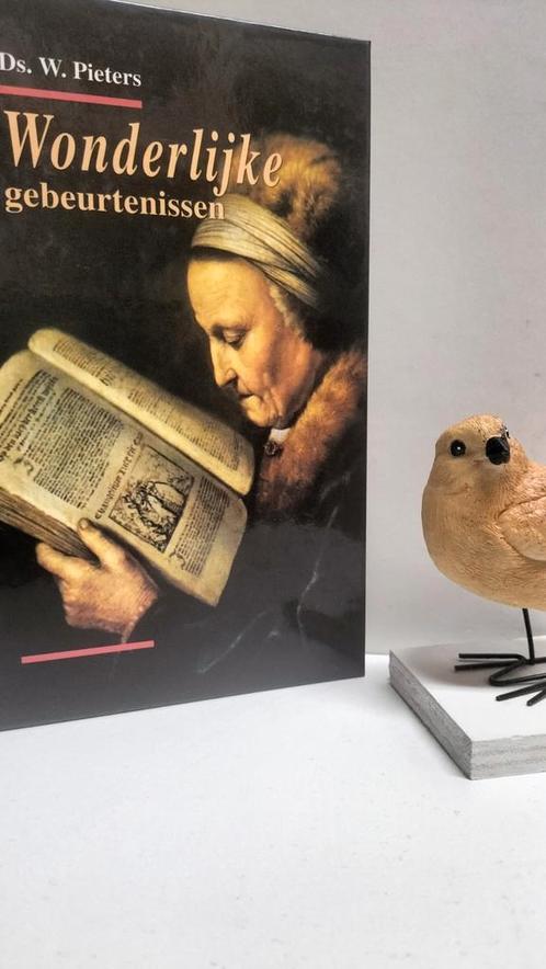 Pieters, Ds. W.; Wonderlijke gebeurtenissen, Boeken, Godsdienst en Theologie, Gelezen, Christendom | Protestants, Ophalen of Verzenden