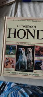 725  Leer je hond beter begrijpen - Huisgenoot Hond, Honden, Ophalen of Verzenden, Zo goed als nieuw, Zomers & Keuning