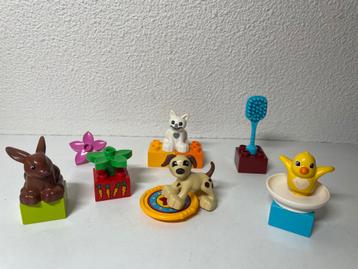 Duplo 10838 Huisdieren beschikbaar voor biedingen