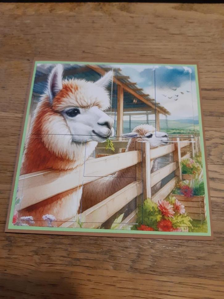 Diepte-Alpaca,s(181), Hobby en Vrije tijd, Kaarten | Zelfgemaakt, Nieuw, Dieren, Ophalen of Verzenden