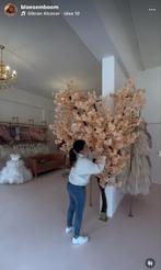 Mooie Bloesemboom voor Binnen of Buiten, Huis en Inrichting, Ophalen, Nieuw, Binnen