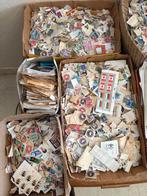 Vrouw met autisme zoekt gratis postzegels, Overige niveaus, Starter, Overige vormen