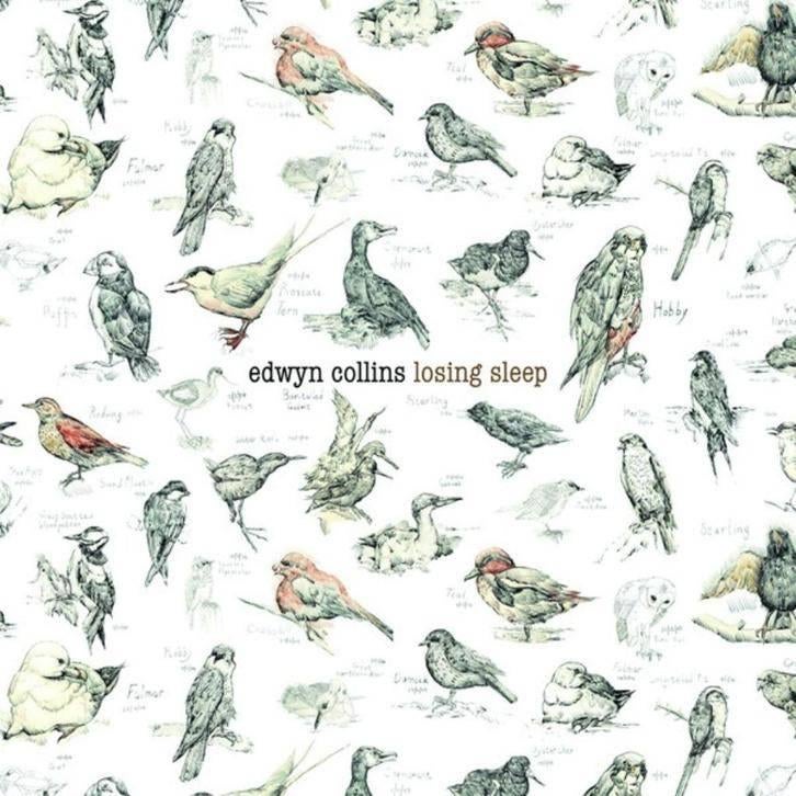 CD: Edwyn Collins (Orange Juice) - Losing Sleep (2010) ZGAN, Ophalen of Verzenden, Zo goed als nieuw
