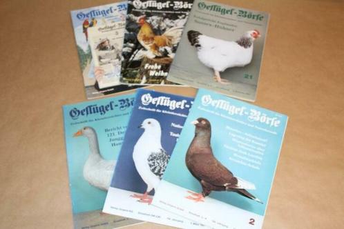 6 magazines - Geglügel-Börse (kippen, duiven etc.), Boeken, Dieren en Huisdieren, Gelezen, Ophalen of Verzenden