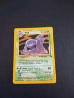 Muk holo fossil, Ophalen of Verzenden, Zo goed als nieuw