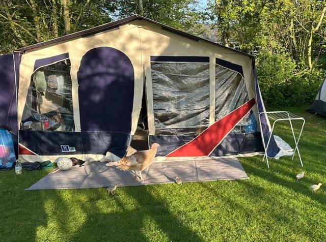 Jamet Arizona 2008 vouwwagen, Caravans en Kamperen, Kampeeraccessoires, Zo goed als nieuw, Ophalen of Verzenden