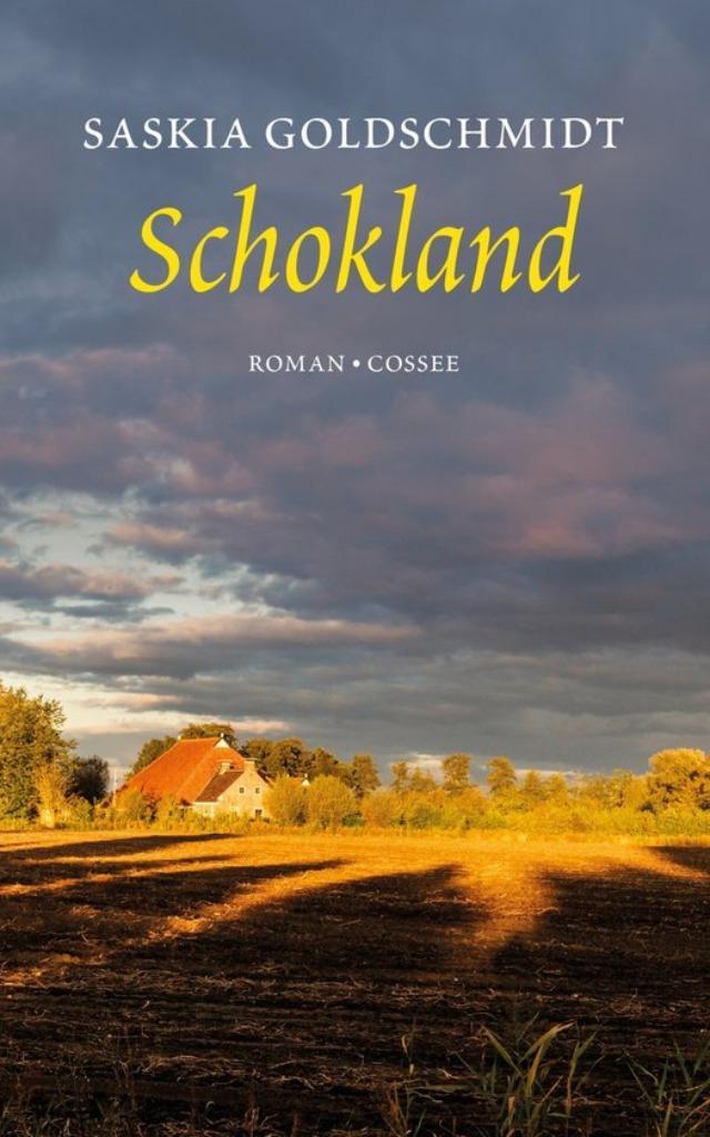 Saskia Goldschmidt: Schokland, Boeken, Romans, Gelezen, Nederland, Ophalen of Verzenden