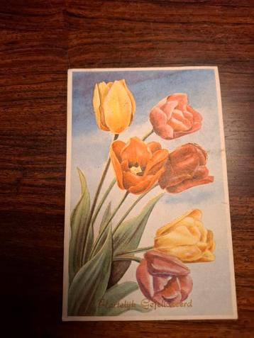 Oude postkaart tulpen jaren '50 beschikbaar voor biedingen