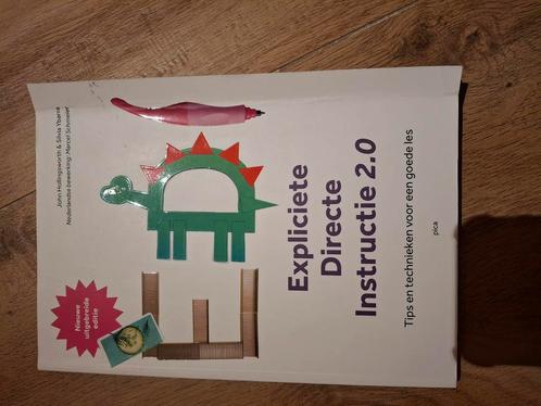 Silvia Ybarra - Expliciete directe instructie 2.0, Boeken, Wetenschap, Zo goed als nieuw, Sociale wetenschap, Ophalen of Verzenden