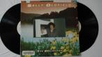 Sally Oldfield - The collection, Ophalen of Verzenden, Gebruikt, 12 inch