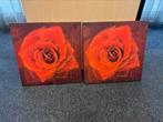 Twee schilderijen wandprenten rode rozen, Ophalen, 50 tot 75 cm, 50 tot 75 cm, Print