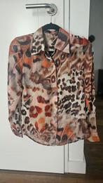 Given blouse maat xs, Kleding | Dames, Ophalen of Verzenden, Zo goed als nieuw, Maat 34 (XS) of kleiner