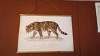 Schoolplaat Jaguar, Antiek en Kunst, Kunst | Litho's en Zeefdrukken, Ophalen