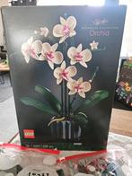 Lego Orchidee 10311, Ophalen of Verzenden, Zo goed als nieuw