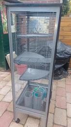 Rattenkooi, Dieren en Toebehoren, Ophalen, Gebruikt, Minder dan 75 cm, 90 cm of meer