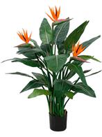 Strelitzia Nicolai Deluxe - KUNST, Ophalen, Vetplant, Volle zon, 100 tot 150 cm