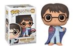 "Special Edition" Funko Pop! Harry Potter Onzichtbaarheidsma, Ophalen of Verzenden, Nieuw