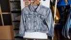 Spijkerjasje 3 kwart maat L, Ophalen, Zo goed als nieuw, Maat 42/44 (L), Blauw