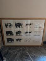 Framed Bull Sketches, Verzamelen, Posters, Ophalen of Verzenden, Zo goed als nieuw