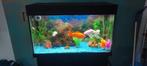 Aqarium juwel 1 meter breed., Dieren en Toebehoren, Vissen | Aquaria en Toebehoren, Ophalen, Zo goed als nieuw, Leeg aquarium