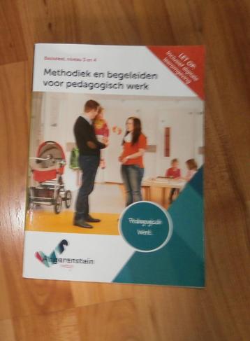 Methodiek en begeleiden voor Pedagogisch werk z.g.a.n. beschikbaar voor biedingen
