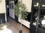 Mooie grote kunst olijfboom, Huis en Inrichting, Woonaccessoires | Kunstplanten en Kunstbloemen, Ophalen of Verzenden, Zo goed als nieuw