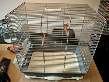 Vogel kooi met alle toebehoren en nieuwe zak kanaries voer beschikbaar voor biedingen