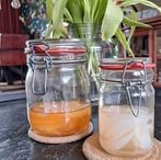 Kombucha Scoby (zwam) + starter van zwarte en groene thee, Ophalen of Verzenden