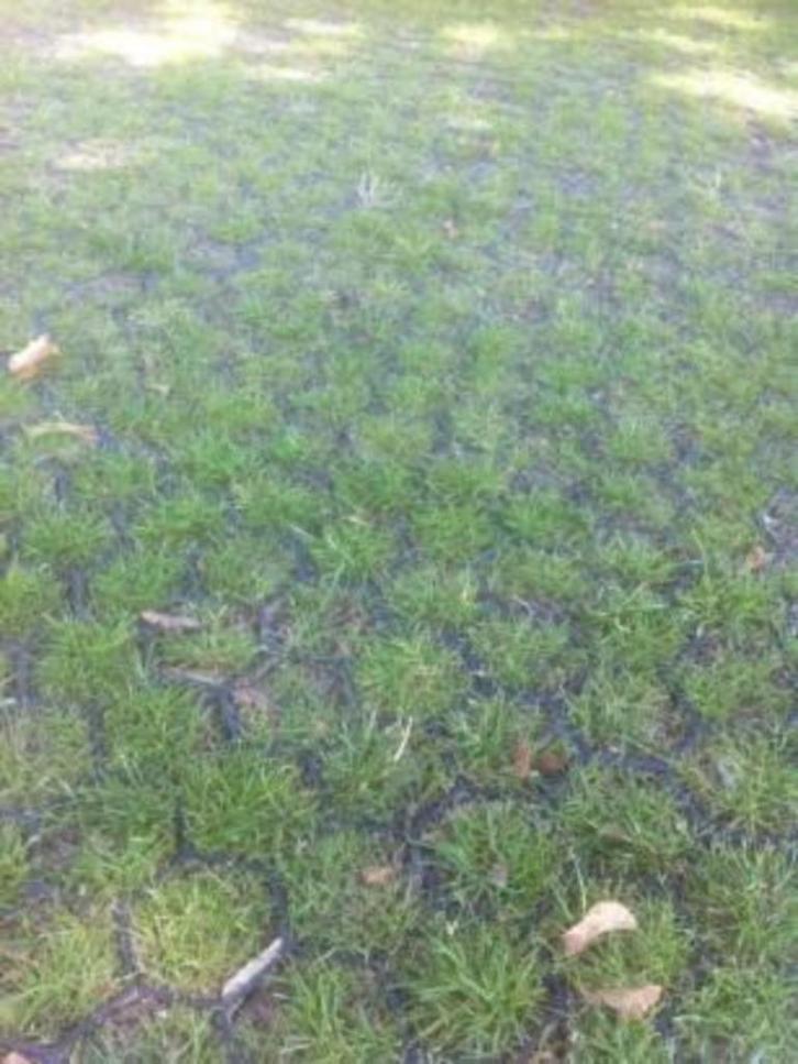 grastegels grasdallen ideaal voor groen parkeren, Tuin en Terras, Gras en Kunstgras, Nieuw, 20 m² of meer, Ophalen of Verzenden