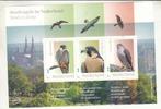 Persoonlijke velletje:  thema: roofvogels in Nederland, stad, Postzegels en Munten, Postzegels | Nederland, Verzenden, Na 1940