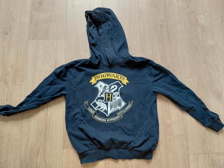 3 Harry Potter Sweaters Maat 134/140, Kinderen en Baby's, Kinderkleding | Overige, Gebruikt, Jongen of Meisje, Ophalen of Verzenden