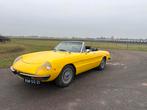Alfa-Romeo spider | WEGENBELASTING VRIJ, Achterwielaandrijving, Cabriolet, Spider, Leder