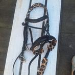 Pony hoofdstel nieuw!! (alleen gepast), Dieren en Toebehoren, Paarden en Pony's | Hoofdstellen en Tuigage, Ophalen of Verzenden